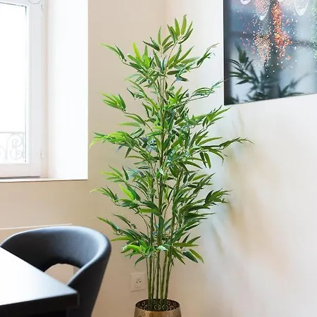 Apartment Le De Catherine - Tres Bel Appt A *