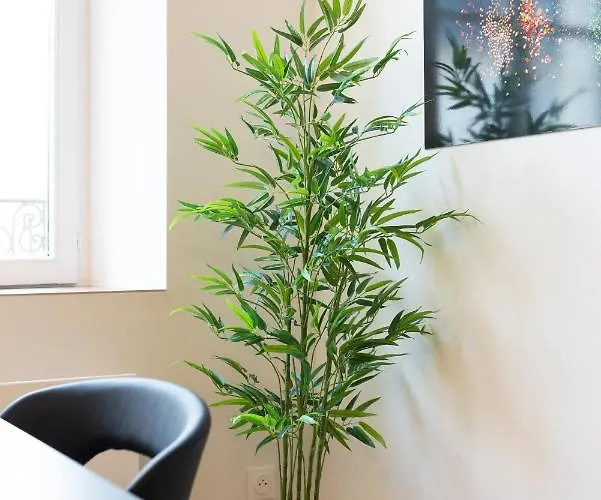 Διαμέρισμα Le De Catherine - Tres Bel Appt A *